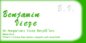 benjamin vicze business card